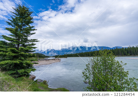Jasper National Park summer landscape. Athabasca River, snow-capped mountains in the background. Alberta, Canada. Canadian Rockies. 121284454