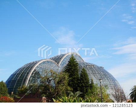 Glass dome shining against the blue sky | Yumenoshima Tropical Botanical Garden Glass dome shining against the blue sky | Yumenoshima Tropical Botanical Garden 121285123