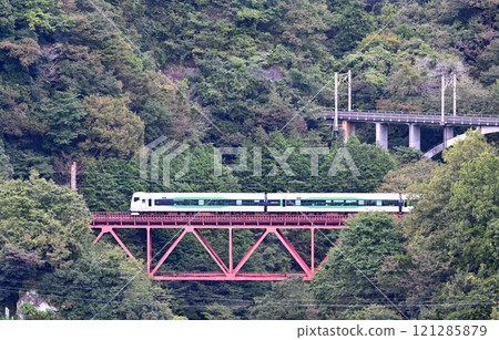 E257 series train crossing the Yodozawa Bridge 121285879
