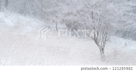 冬天的風景,白霜 冬天的風景,白霜 121285982
