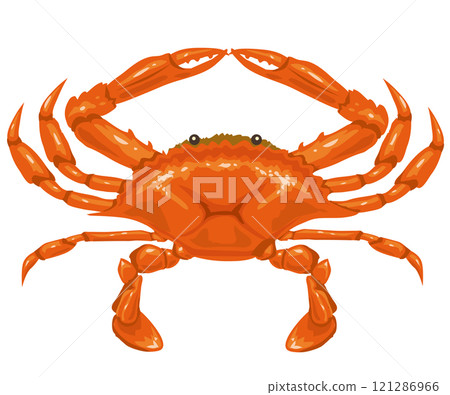 夾蟹 121286966