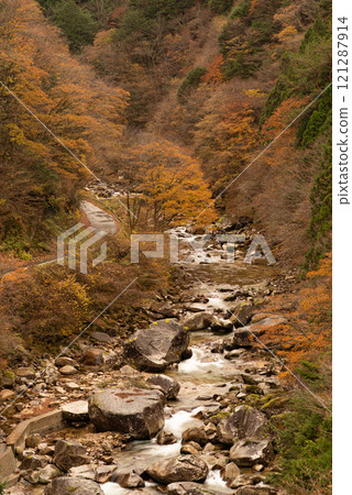 Autumnal forest and beautiful autumn leaves Autumnal forest and beautiful autumn leaves 121287914