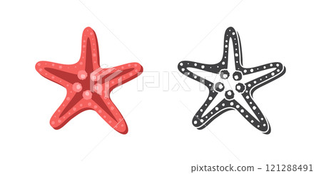 Starfish icon in flat style. Sea stars vector illustration on isolated background. Sea animal sign business concept. 121288491