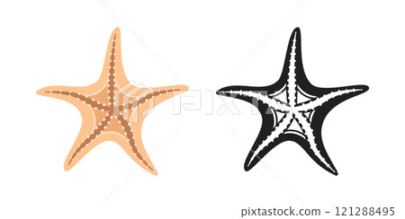 Starfish icon in flat style. Sea stars vector illustration on isolated background. Sea animal sign business concept. 121288495