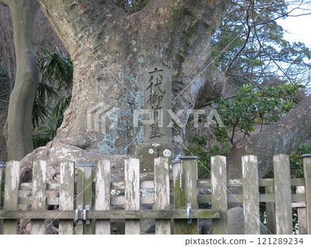 逗子市田越川附近的六大禦前(平貴清)墳墓 逗子市田越川附近的六大禦前(平貴清)墳墓 121289234