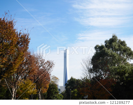 Autumn leaves in the park against the blue sky | Yumenoshima Park 121289277