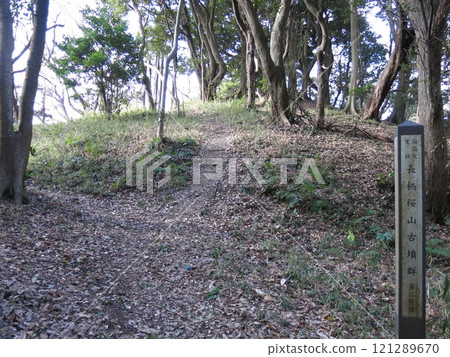 The second tomb of the Nagare Sakurayama Tomb Group 121289670
