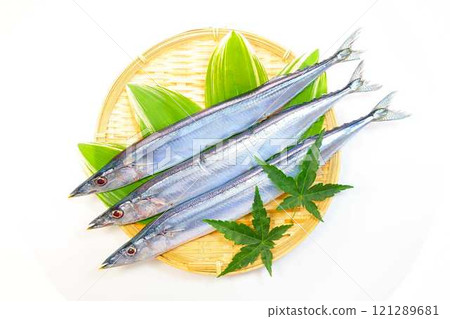 三馬三馬三馬 三馬三馬三馬 121289681