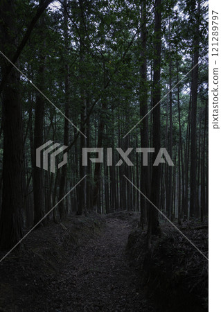 一條可以在奇幻電影中使用的黑暗山路 一條可以在奇幻電影中使用的黑暗山路 121289797