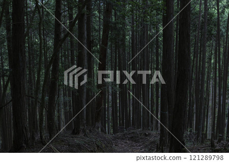 A dark mountain road that could be used in a fantasy movie 121289798