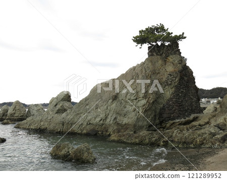 神奈川縣葉山町森戶海岸的仙岩松 121289952