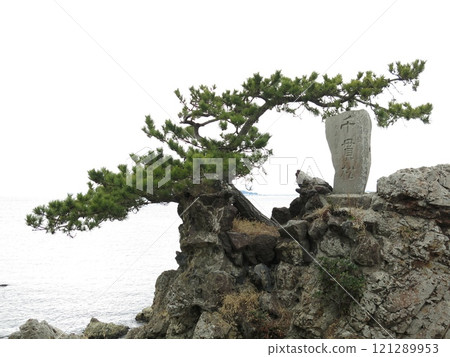 神奈川縣葉山町森戶海岸的仙岩松 神奈川縣葉山町森戶海岸的仙岩松 121289953