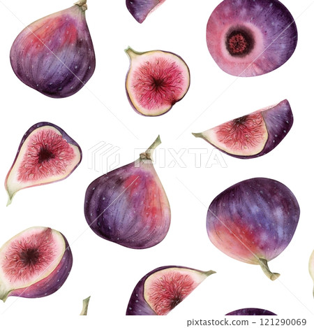 Delicious purple figs watercolor seamless pattern on white. Whole fruits and slices with juicy pulp repeat background in realistic botanical style with halved berries. Delicacy summer food Delicious purple figs watercolor seamless pattern on white. Whole fruits and slices with juicy pulp repeat background in realistic botanical style with halved berries. Delicacy summer food 121290069