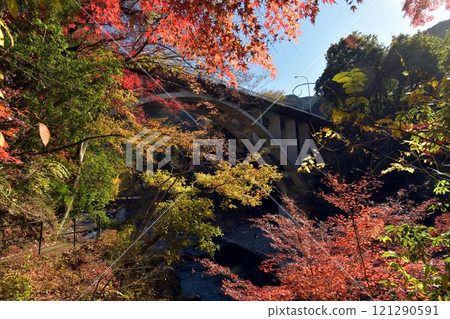 禦岳橋和秋葉 121290591