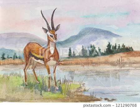 deer on the shore of a mountain lake 121290708