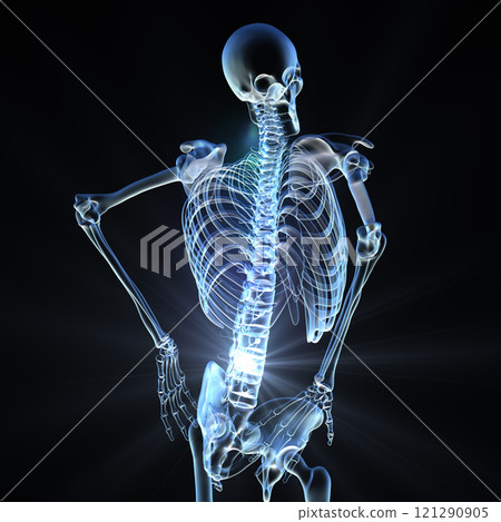 Human skeleton with lower back pain, 3D illustration 121290905