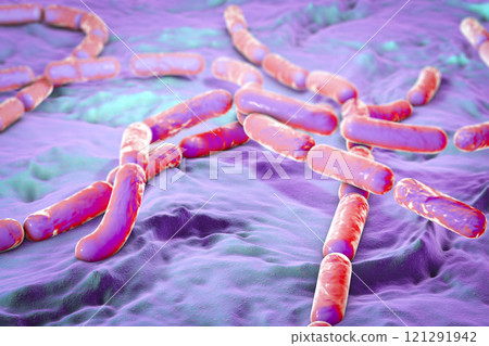 Bacillus cereus bacteria 121291942