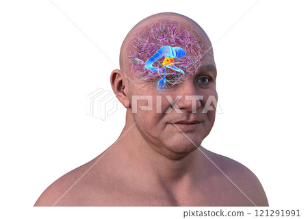 The third brain ventricle, 3D illustration 121291991