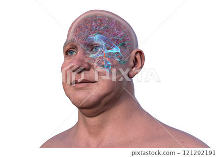 Human brain with the cerebral aqueduct and the ventricular system, 3D illustration 121292191