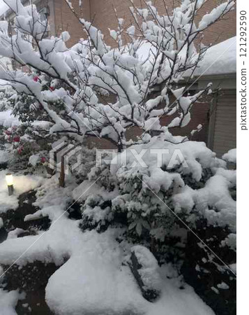 花園裡積雪了,一層雪 花園裡積雪了,一層雪 121292590