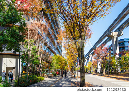 Tachikawa City Autumn Sunshine Road 121292680