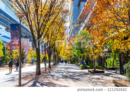 Tachikawa City Autumn Sunshine Road Tachikawa City Autumn Sunshine Road 121292682