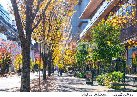Tachikawa City Autumn Sunshine Road Tachikawa City Autumn Sunshine Road 121292683