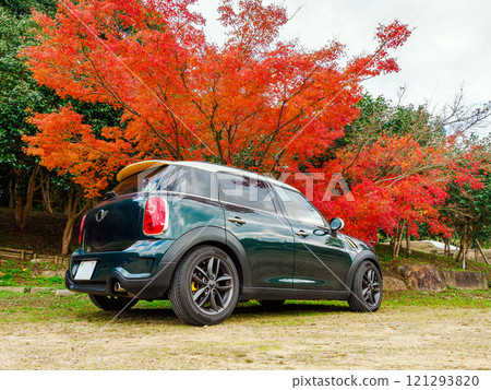 秋葉和迷你交叉 秋葉和迷你交叉 121293820