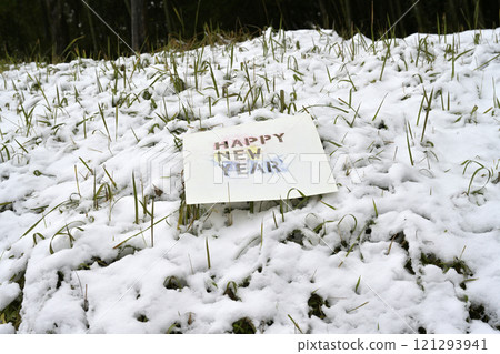 New Year's material English letters New Year's material English letters 121293941