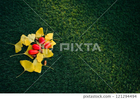Fallen ginkgo leaves, jack-o'-lanterns and acorns on the lawn 121294494