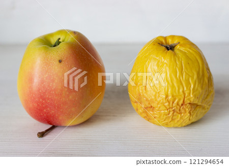Fresh and rotten apple on white background. Fresh red apple and wrinkled apple. Young and old concept. Aging process concept. Skin care concept. Decay in nature. Difference in age. Passing of time Fresh and rotten apple on white background. Fresh red apple and wrinkled apple. Young and old concept. Aging process concept. Skin care concept. Decay in nature. Difference in age. Passing of time 121294654