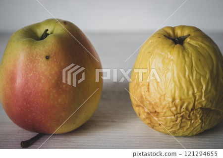 Fresh and rotten apple on white background. Fresh red apple and wrinkled apple. Young and old concept. Aging process concept. Skin care concept. Decay in nature. Difference in age. Passing of time Fresh and rotten apple on white background. Fresh red apple and wrinkled apple. Young and old concept. Aging process concept. Skin care concept. Decay in nature. Difference in age. Passing of time 121294655