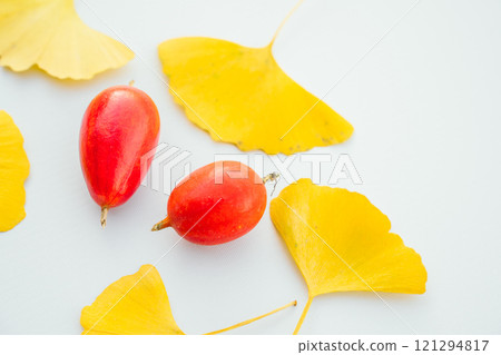 Fallen ginkgo leaves and jack-o'-lanterns, white background, indoors Fallen ginkgo leaves and jack-o'-lanterns, white background, indoors 121294817