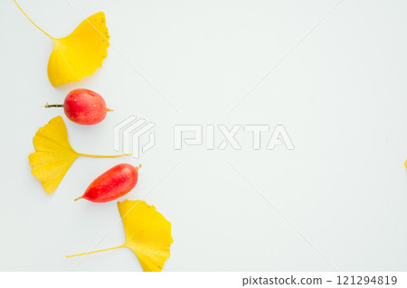Fallen ginkgo leaves and jack-o'-lanterns, white background, indoors 121294819