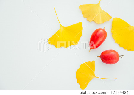 Fallen ginkgo leaves and jack-o'-lanterns, white background, indoors 121294843