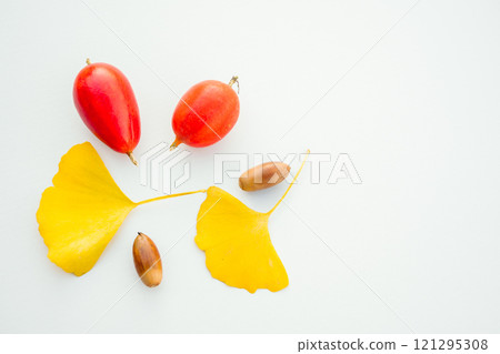 Fallen ginkgo leaves, jack-o'-lanterns and acorns, white background, indoors Fallen ginkgo leaves, jack-o'-lanterns and acorns, white background, indoors 121295308