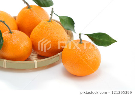 Mikan that looks delicious Mikan that looks delicious 121295399