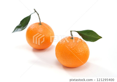 Mikan that looks delicious Mikan that looks delicious 121295400