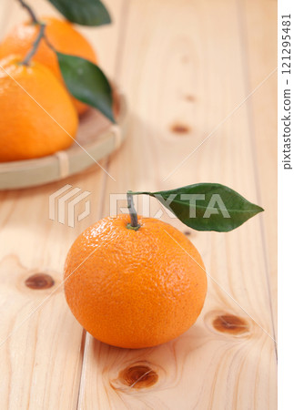 Mikan that looks delicious 121295481