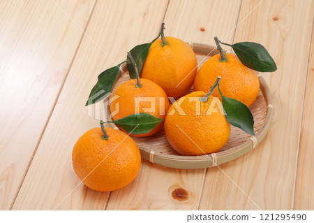 Mikan that looks delicious 121295490