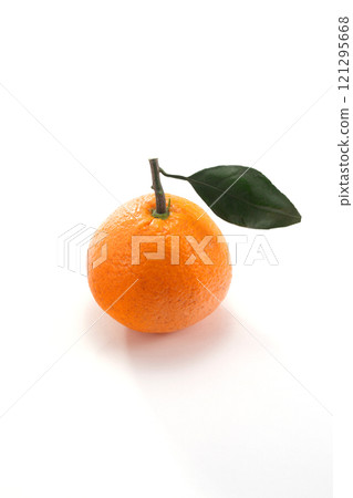 Mikan that looks delicious Mikan that looks delicious 121295668