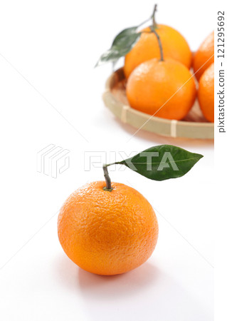 Mikan that looks delicious Mikan that looks delicious 121295692