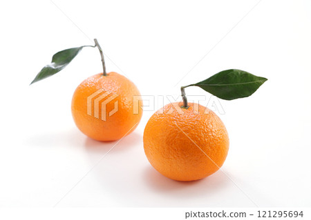 Mikan that looks delicious Mikan that looks delicious 121295694