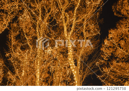 2024 SENDAI Pageant of Starlight Illuminations, Sendai City, Miyagi Prefecture 2024 SENDAI Pageant of Starlight Illuminations, Sendai City, Miyagi Prefecture 121295738