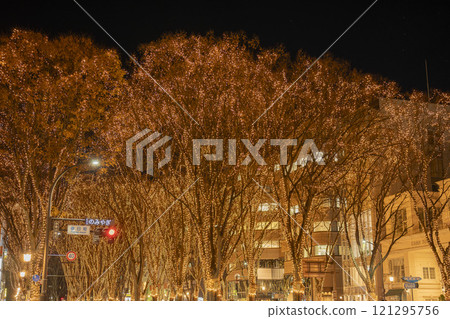 2024 SENDAI Pageant of Starlight Illuminations, Sendai City, Miyagi Prefecture 2024 SENDAI Pageant of Starlight Illuminations, Sendai City, Miyagi Prefecture 121295756