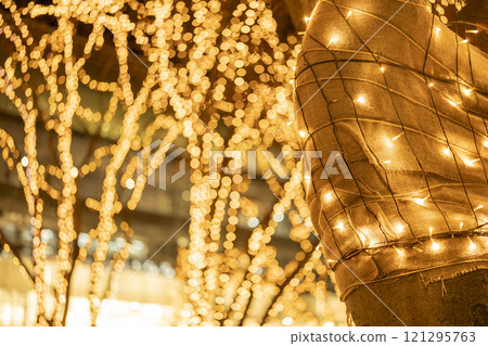 2024 SENDAI 燈光盛典 宮城縣仙台市 121295763