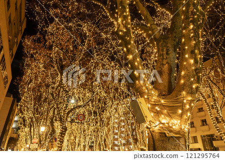 2024 SENDAI Pageant of Starlight Illuminations, Sendai City, Miyagi Prefecture 2024 SENDAI Pageant of Starlight Illuminations, Sendai City, Miyagi Prefecture 121295764