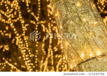 2024 SENDAI 燈光盛典 宮城縣仙台市 121295788