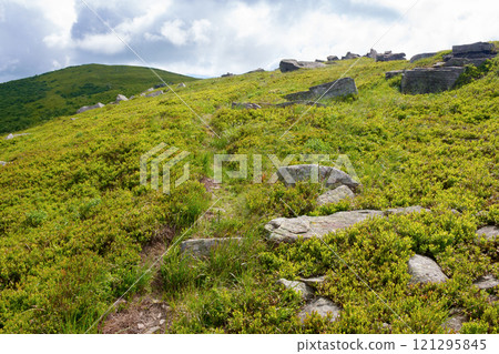 path winding uphill. scenic landscape. alpine scenery with grassy meadow and rocks in summer. sunny weather. highland outdoor adventure path winding uphill. scenic landscape. alpine scenery with grassy meadow and rocks in summer. sunny weather. highland outdoor adventure 121295845