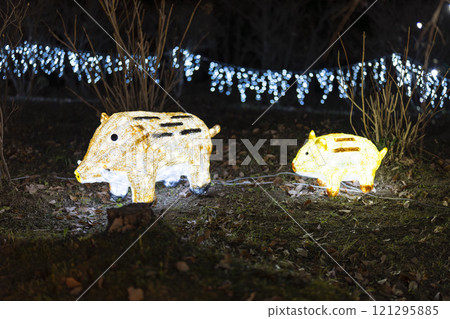 Winter illumination Shibata Fantasy Illumination 2024 Shibata Town, Miyagi Prefecture 121295885